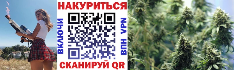 Купить где  Донской  Шишки марихуана MAZAR 